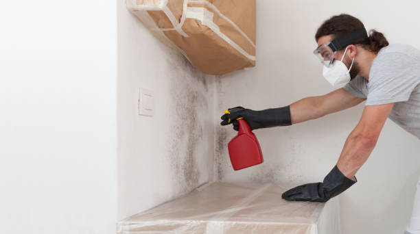 Professional Mold Removal technician working in Mears, VA